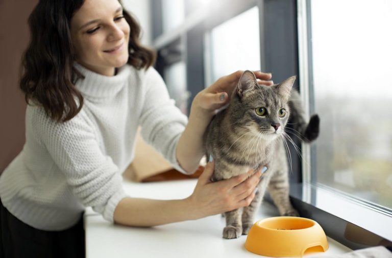 25 Mistakes New Cat Owners Should Avoid Making