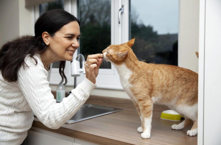 How to Choose the Right Food for Your Pet Cat