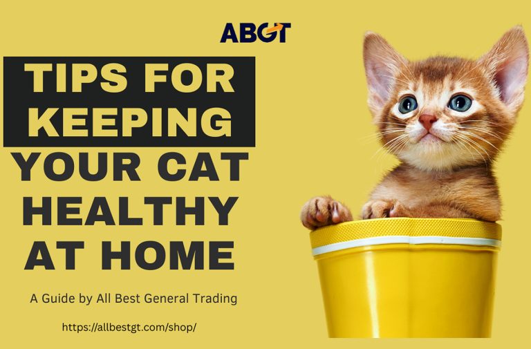 Tips for Keeping Your Cat Healthy at Home