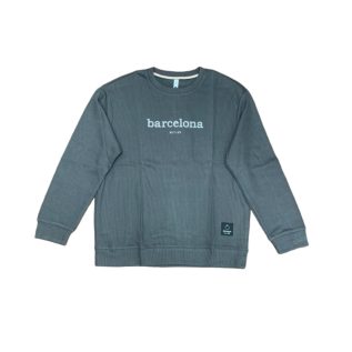 Crew Neck Sweatshirt-Grey/Khaki